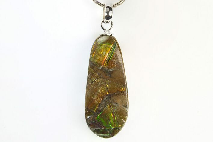 Brilliant Ammolite Pendant (Necklace) - Alberta, Canada #312486